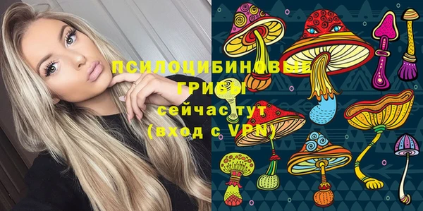 соль курить ск Бородино