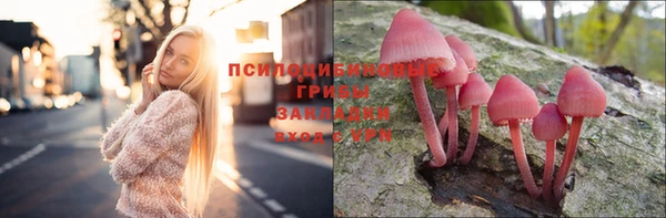 молекула духа Бронницы