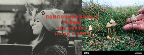 мдпв Верея