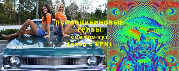 молекула духа Бронницы