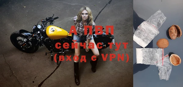 молекула духа Бронницы
